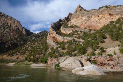 Picture of The Trump Presidency and the Environment