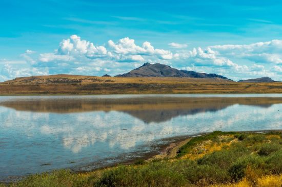 Picture of Great Salt Lake 2024 Legislative Update with Commissioner Brian Steed