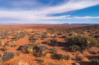 Picture of Originalism and Indian Law