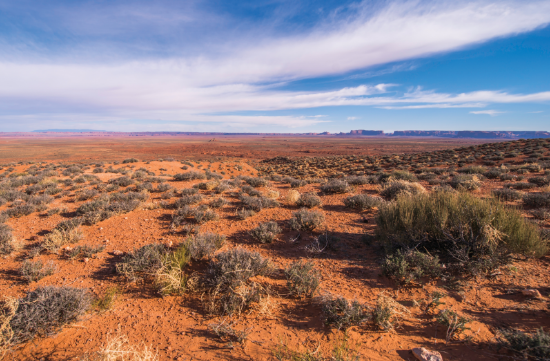 Picture of Originalism and Indian Law