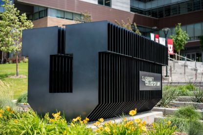 Picture of Reissue examination fee or Reissue (Design CPA) examination fee - Regular Entity Fee
